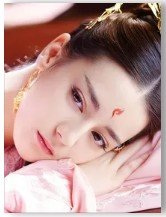 《(与君歌同人)与君歌:狐狸陛下与兔子公主》