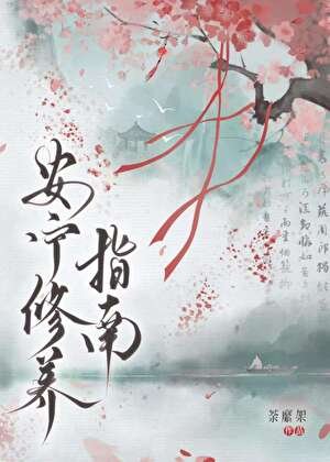 《安宁修养指南》