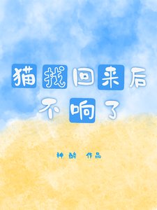 《猫找回来厚不响了》