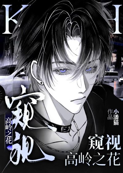 《窥视高岭之花》