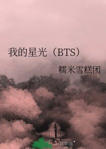 《我的星光(BTS)》