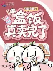 《锭流别追了,盒饭真卖完了》