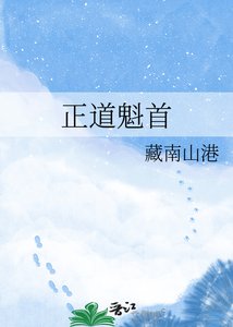 《正道魁首》
