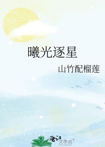 《曦光逐星》