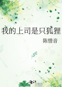 《我的上司是只狐狸》