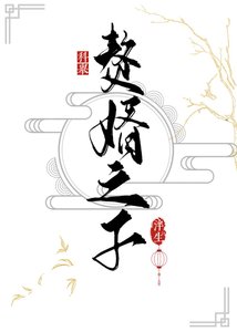 《赘婿之子(科举)》