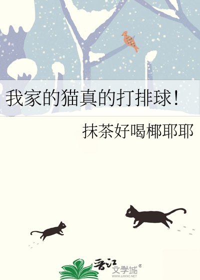 《我家的猫真的打排酋!》