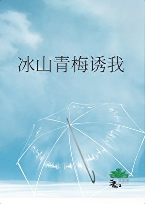 《冰山青梅诱我》