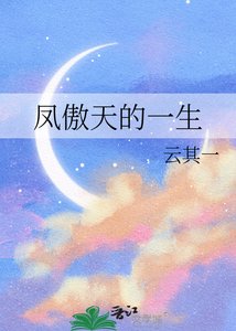 《凤傲天的一生》