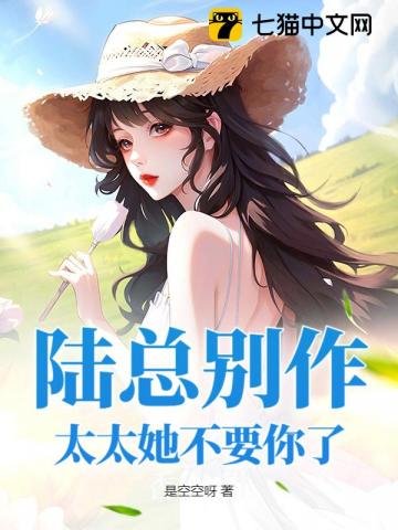 《陆总别作,太太她不要你了》