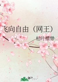《飞向自由(网王)》