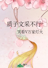 《质子文采不行》