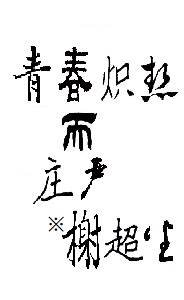 《青春炽热而庄严》