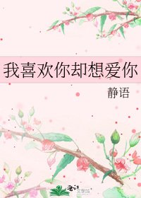 《我喜欢你却想爱你》
