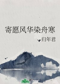 《寄愿风华染舟寒》