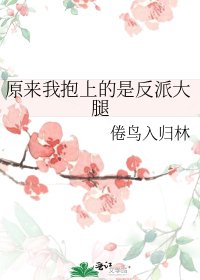 《原来我抱上的是反派大腿》