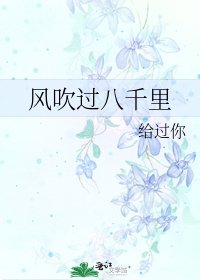 风吹过八千里