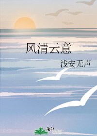 《风清云意》