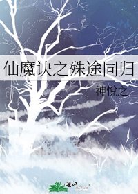 《仙魔诀之殊途同归》