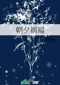 《朝夕祸福》