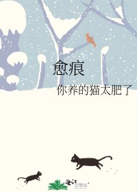 《愈痕》