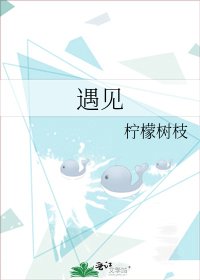 《遇见》