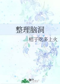 《整理脑洞》