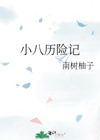 《小八历险记》