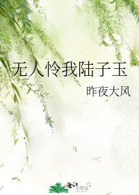 《无人怜我陆子玉》