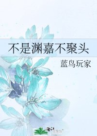 《不是渊嘉不聚头》