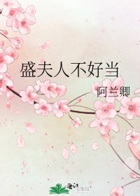 《盛夫人不好当》