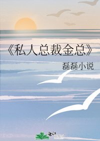 私人总裁金总
