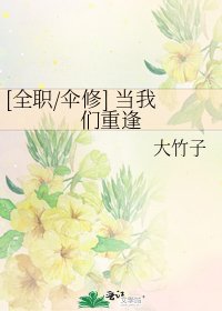 [全职/伞修] 当我们重逢