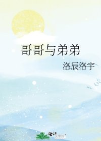 《哥哥与弟弟》