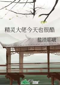 《精灵大佬今天也很酷》