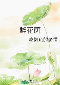 《醉花荫》