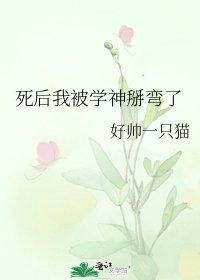 《死后我被学神掰弯了》