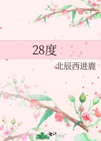《28度》