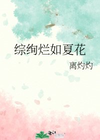 《综绚烂如夏花》