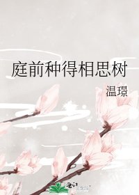 《庭前种得相思树》