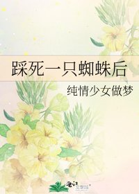 《踩死一只蜘蛛后》