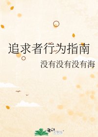 《追求者行为指南》