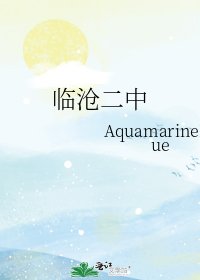 《临沧二中》