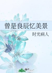 《曾是良辰忆美景》