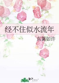 《经不住似水流年》