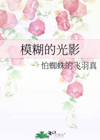 《模糊的光影》