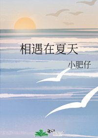 《相遇在夏天》