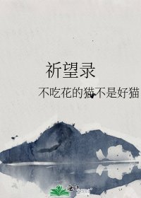 《祈望录》