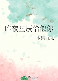昨夜星辰恰似你