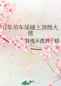 《万年吊车尾碰上顶级大佬》